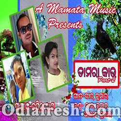 Damara Kau Part-2 (Veer Kumar,Arti) Sambalpuri Song